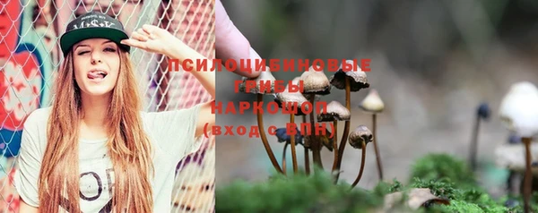 apvp Лабытнанги